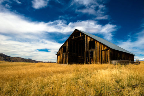 Before I go on let me say, "Thank goodness for Idaho." If it wasn't for the Vandals WSU would go decades between wins